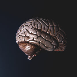 Intro to Neurodegeneration – Module 1